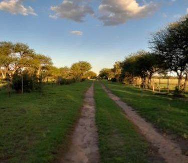 Luan Toro Apartamento | Estancia San Carlos