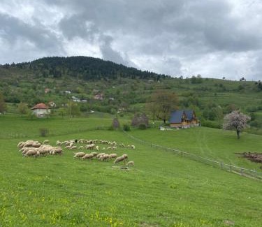 Montenegro Chalet De Esquí | Ethno house Dušanovi stupovi