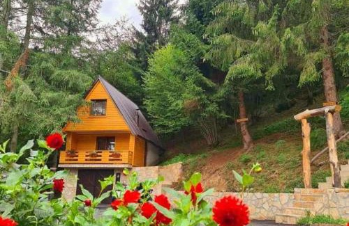 Sumece Apartamento | Etno selo BISTROVO