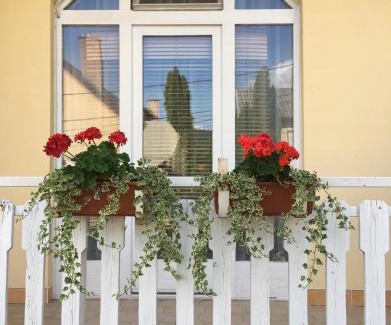 Budakeszi Casa | Eva Rooms