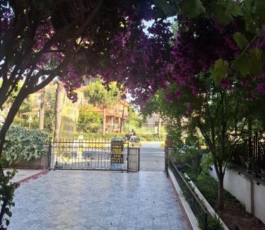 Oren Mahallesi Casa | Evim Palace