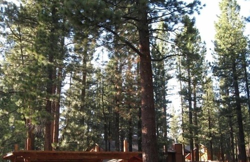 Bijou Park Acres Casa | Excelente ubicación en la ciudad, capacidad para 12 personas, nueva bañera de hidromasaje, mesa de billar