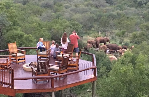 Hoedspruit Villa | Exclusiva Villa Bush dentro del Gran Parque Nacional Kruger, hogar de los 5 Grandes