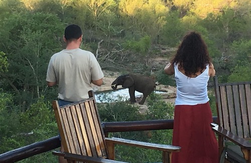 Hoedspruit Villa | Exclusiva Villa Bush dentro del Gran Parque Nacional Kruger, hogar de los 5 Grandes