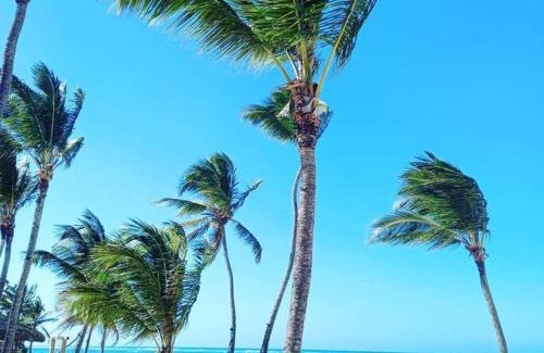 Punta Cana Villa | Exclusive Villa * private Beach and Housekeeping