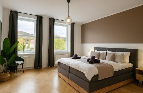 Bad Sooden-Allendorf Apartamento | Exklusive 2 Whg - 6 SZ - 14 P - 2 Küchen - 4 Bäder - Mitten in Deutschland - Kurstadt fußläufig