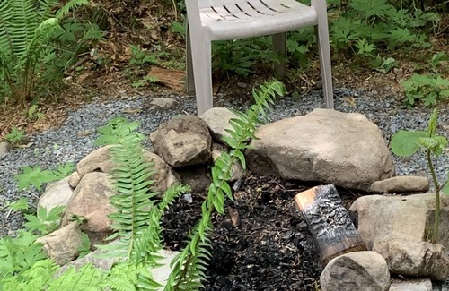 Ashford Cabina | Experience a custom built tiny home cabin near Mt Rainier National Park. It sleeps up to three! Firepit, access to shared hot tub, walking distance to Copper Creek Restaurant
