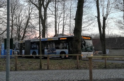 Devin Casa | Experience a wonderful time in the blue sun of Devin.