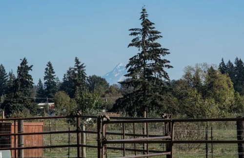 Ridgefield Otro | Experience the Bunkhouse at the Flying F Ranch