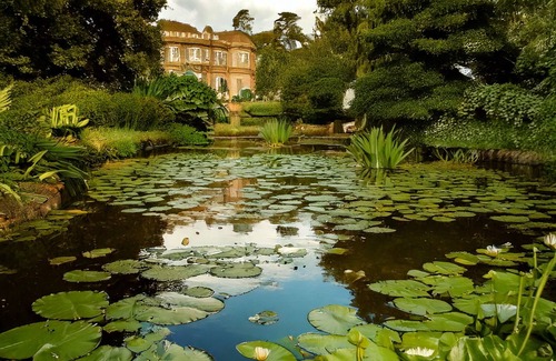 New Forest District Otro | Experience the epitome of English elegance at English Countryside Estate.