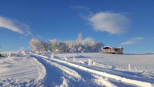 Laugarvatn Cabina | Eyvindartunga farm cottage