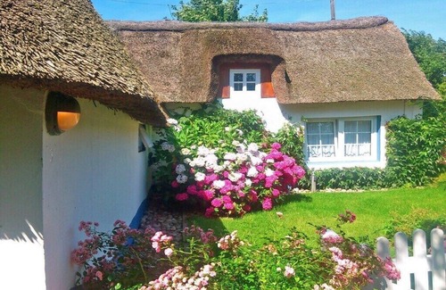 Goting Casa | Föhrer Friesenkate West