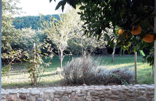 Ceret Apartamento | F2 on the ground floor in Céret (66) in a haven of peace 30 minutes from Racou beach