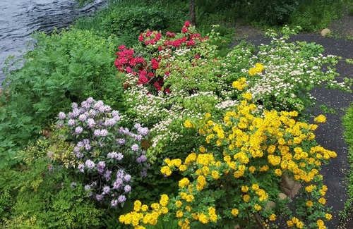 Marcola Casa | Fabulosa casa en el río Mckenzie.