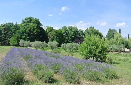 Forcalquier Casa | Frente a la huerta y los Alpes, Albergue Montagne de Lure para cinco personas