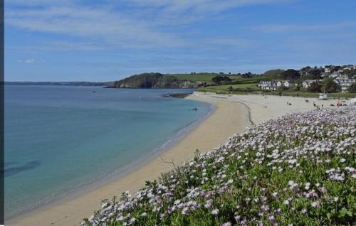 Maenporth Casa | Falmouth House near the Sea