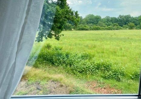Bergstedt Apartamento | Familienfreundlichen Apartment mit traumhaft grüner Aussicht