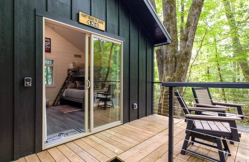 Balsam Grove Cabina | Can't Bear To Leave 486 - A Perfect Pisgah Retreat
