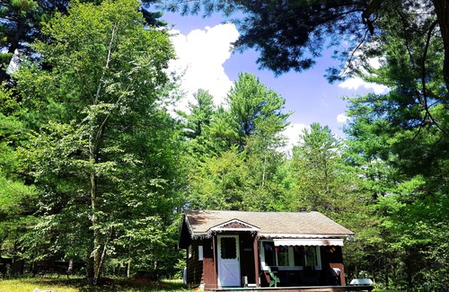 Wilmington Chalet De Esquí | Family Chalet with Fireplace under Pine trees