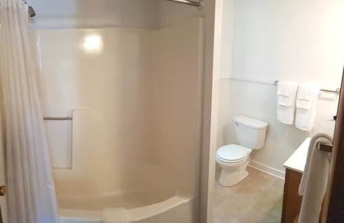 Wilmington Chalet De Esquí | Family Chalet with fireplace under Pine trees