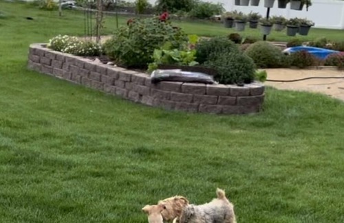 Johnstown Apartamento | Family friendly & fully furn. garden apt. with huge yard in lovely neighborhood