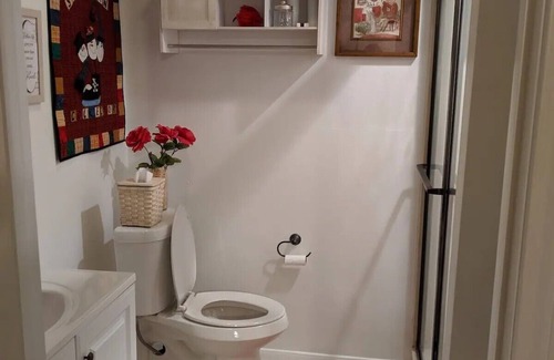 Bellville Otro | Family friendly Sunnybrook Farm with very friendly farm animals