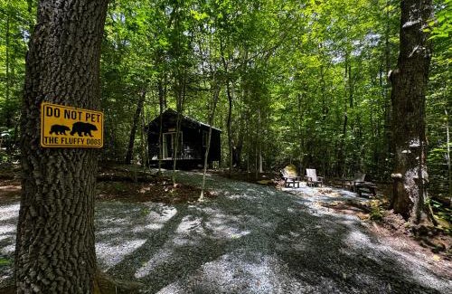 Balsam Grove Otro | Family Glamping Cabin-Bed and Bear at Valley Bear Farms Resort