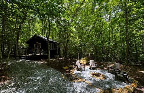 Balsam Grove Otro | Family Glamping Cabin-Bed and Bear at Valley Bear Farms Resort