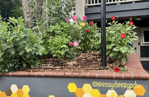 Alberta Arts District Apartamento | Apt moderna en el corazón de Portlandia- Ubicación, ubicación, ubicación