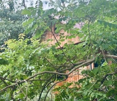 Maraiyur Cama Y Desayuno | FAMILY RESORT MARAYOoR KANTHALLOOR