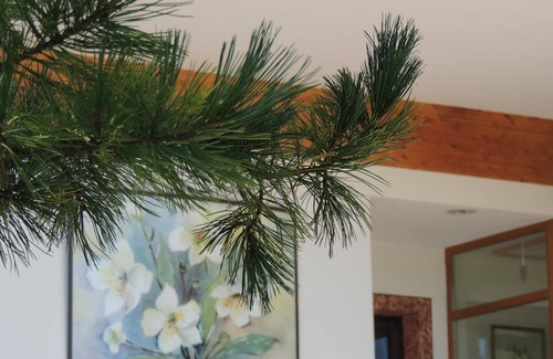 Oberau Casa | Family room, shower, toilet, 2 bedrooms - Gasthof Schneerose