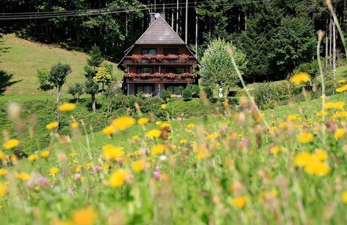 Oberwolfach Apartamento | Family room with two separate Bedrooms