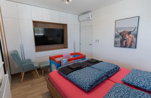 Brno Apartamento | Family space with free parking & Air condition