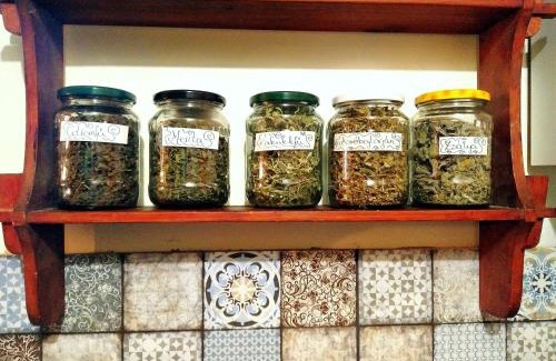 Kismaros Apartamento | FAnima vendégház