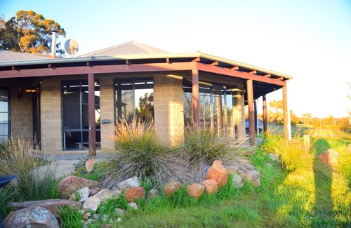 Williams Otro | Farm Life in Rose Creek Farm!