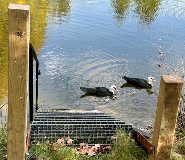 Veberod Casa | Farm Stay Happy Dogs Ranch