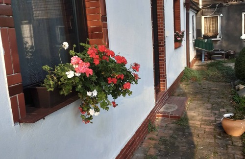 Sassen-Trantow Casa | Farmhouse near Greifswald