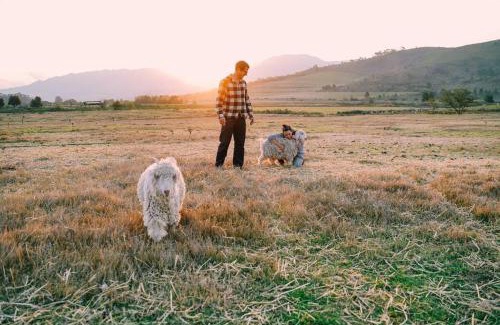 Theewaterskloof Casa | Farmstay at the Goat Shed Cottage, Spinlea Farm