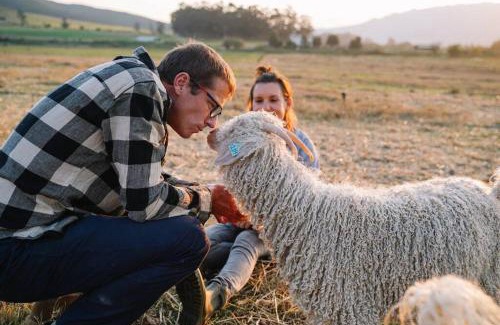 Theewaterskloof Casa | Farmstay at the Goat Shed Cottage, Spinlea Farm