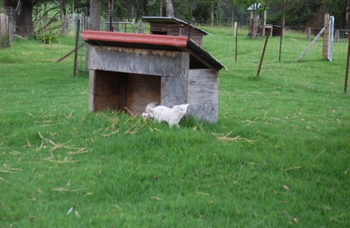 Kangaroo Valley Cabina | Farmstay, Cabins in Beautiful Kangaroo Valley