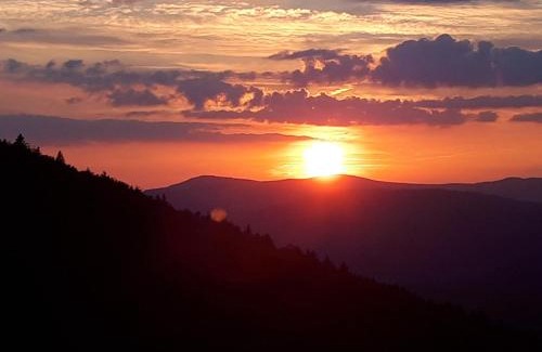 Schofweg Apartamento | Ferienapartment 38 Sonnenwald