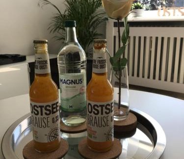 Ponitz Apartamento | Ferienapartment Kischa
