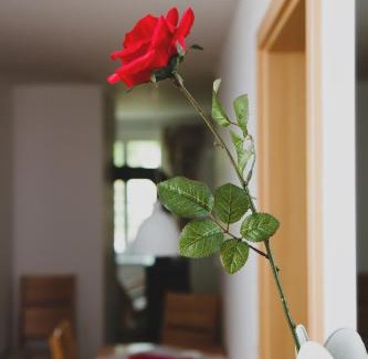 Schoeneberg b. Angermuende Apartamento | Ferienappartements Schweizer Haus