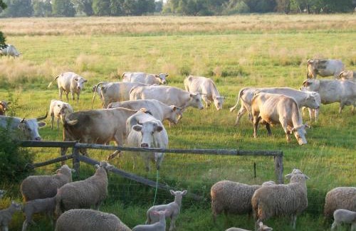 Schoeneberg b. Angermuende Apartamento | Ferienappartements Schweizer Haus