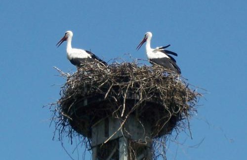 Schoeneberg b. Angermuende Apartamento | Ferienappartements Schweizer Haus