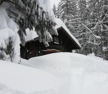 Lunz am See Casa | Ferienhütte Hochalm