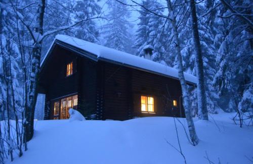Lunz am See Casa | Ferienhütte Hochalm