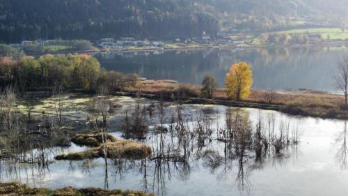 Steindorf am Ossiacher See Casa | Ferienhaus Natura 2000