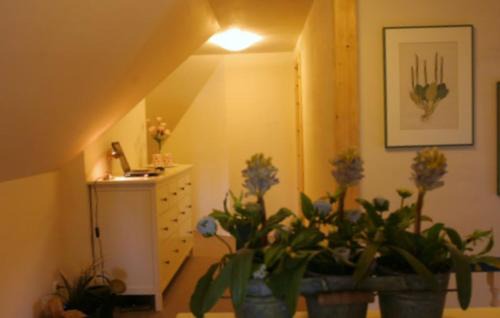 Vollerwiek Casa | Ferienhaus Deichgraf