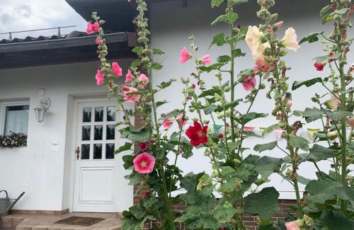 Osterode am Harz Casa | Ferienhaus Dornröschen